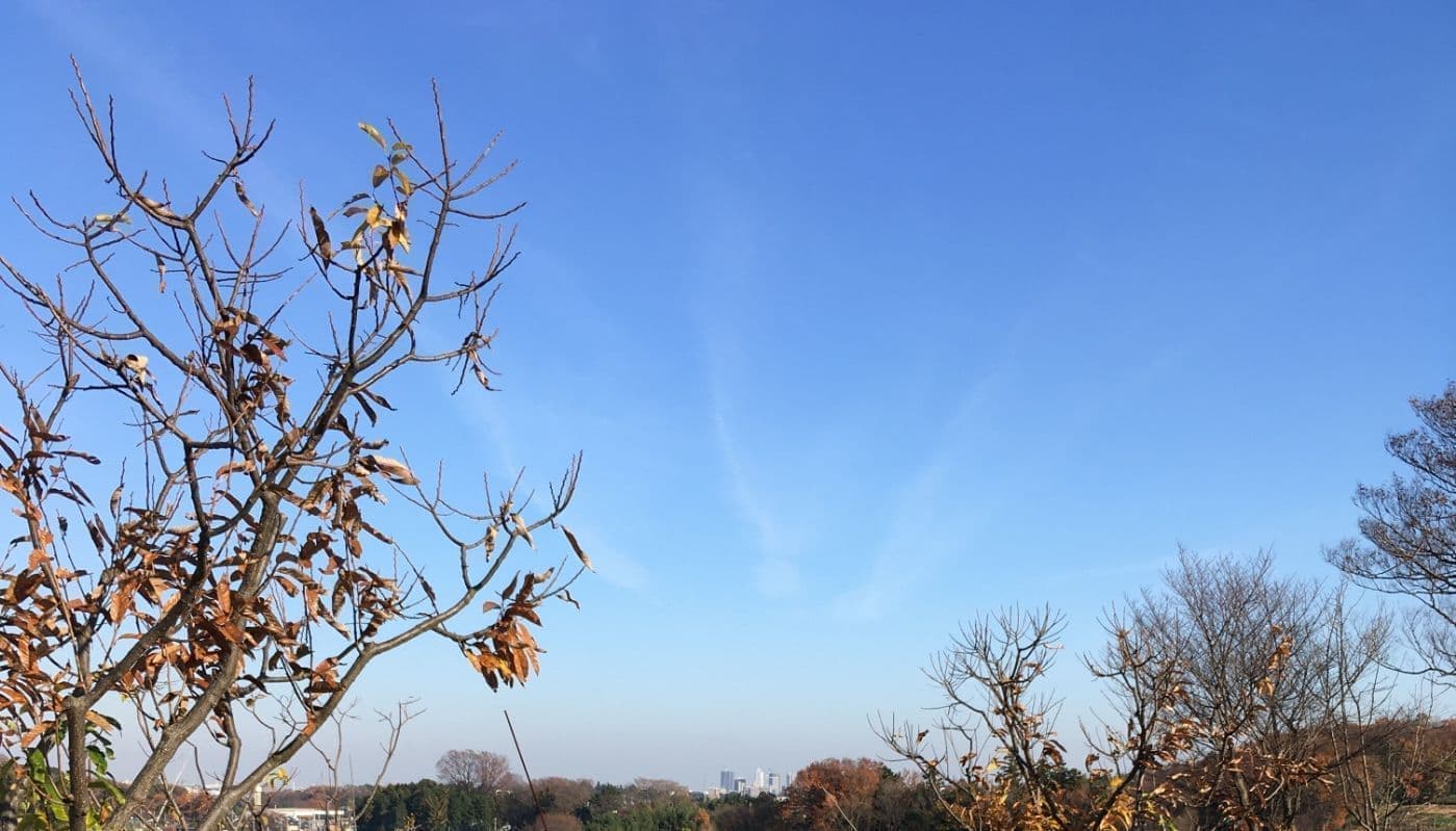 近くの栗畑から所沢駅中心市街地を望む
